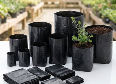 Plant nursery using plastic nursery bags in agriculture Indore – NEW GURUNANAK PLASTIC & PACKAGING
