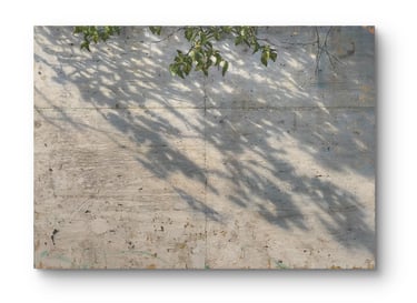 COSMOGRAFIA 100 X 140