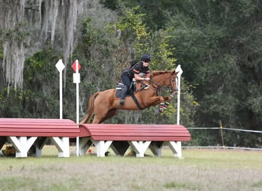 A chestnut horse clearing a cross country roll top