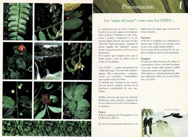 Iguazú las Leyes de la Selva