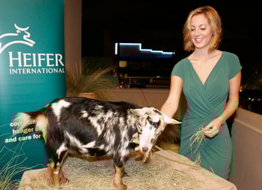 LA PREMIERE OF HEIFER INTERNATIONAL'S "12 STONE"