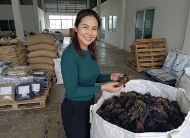 A smiling woman holding dried seaweed at a wholesale production warehouse facility.