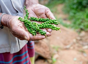 a person holding a bunch of green peas
