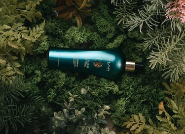 Socialinių tinklų reklama Facebook ir Instagram platformoms