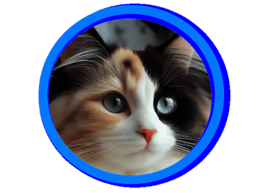 Tortie ou Écaille de tortue ce dit d'un chat de 3 couleurs. Femelle à 99.99%.