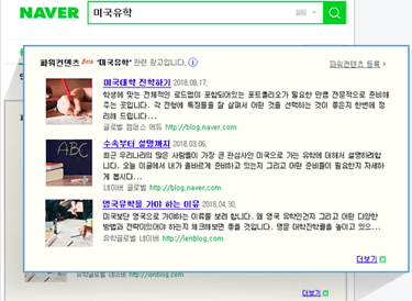 Naver ads preview