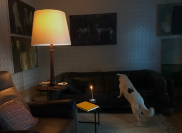 Private salon Lina Mikuzyte Klaipeda