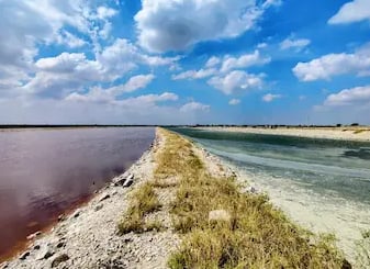 India's largest lake, Sambhar salt lake, Rajasthan.