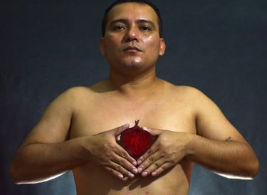 Denilson Baniwa, obra Meu Coração e Orgânico.