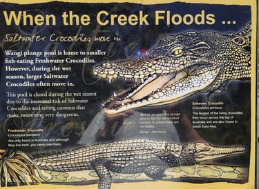 Saltwater Crocodile information sign
