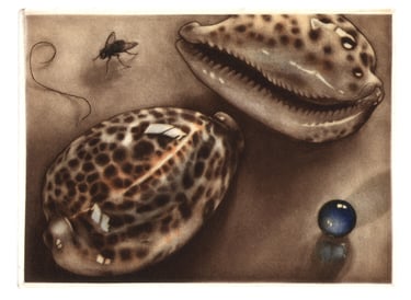 Mezzotint Color Aquatint Olive shells Kalamata olives stella Octangula Polyhedron Robert De Groff