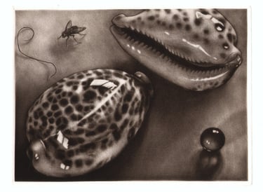 Giant cowrie shells, housefly, fly, pubic hair, marble, mezzotint by Robert De Groff DeGroff