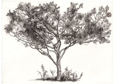 Plum Tree hand engraving Robert De Groff DeGroff 