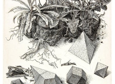 Piece of Turf Durer Homage hand engraving grasshopper polyhedra Robert De Groff DeGroff
