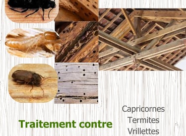 Franck Rénovation traitement charpente