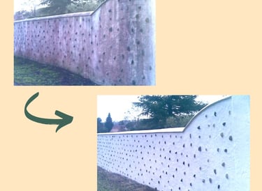 Franck Rénovation intervention clôture