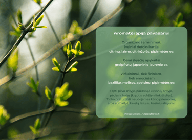 aromaterapija pavasariui