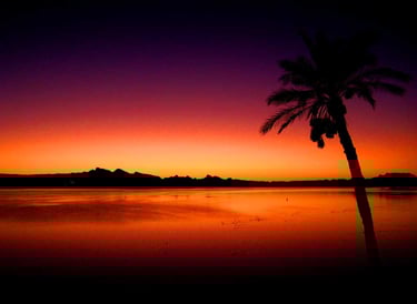 Lake Havasu sunsets