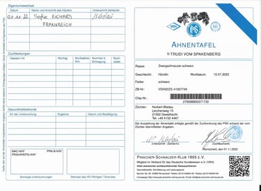 pedigree allemand délivré par le PSK
