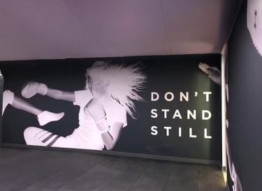 Vienos dalies interjero sienų grafika DECOSONA – unikalūs sienų raštai ir iliustracijos