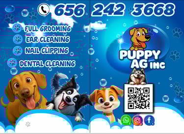 a flyer for a pet grooming business