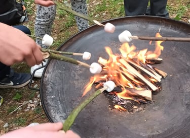 Children’s outdoor activities at Smart Steps afterschool service