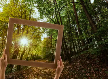 Holzrahmen im Wald mit Sonnenschein durch die Baeume im Havelland