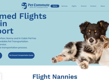 pet commute pet transport services