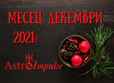 Прогноза Декември 2021г.