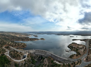 pantano a vista de dron