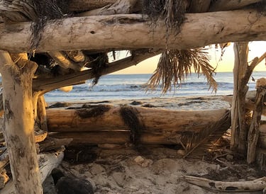 Driftwood cabana at Gaviota Beach outside Santa Barbara, CA.