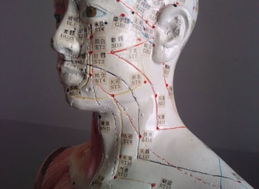 Marc DENOZI méridiens d'acupuncture