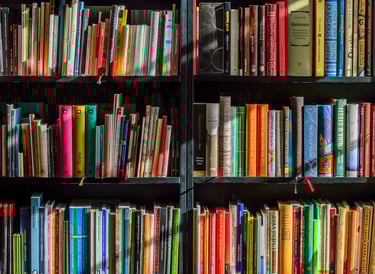 Libros de Lectura Fácil de Valencia