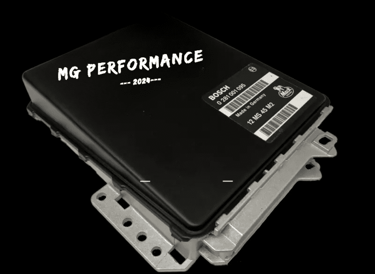 Steuergeraet Reparatur bei MG Performance