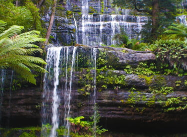 Russell Falls, Tasmania