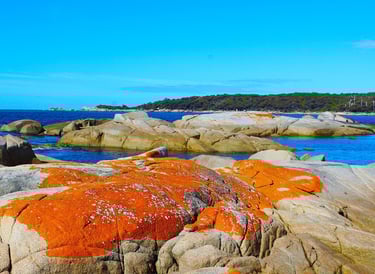 Bay of Fires, Tasmania