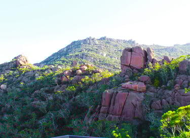 Freycinet National Park, Tasmania