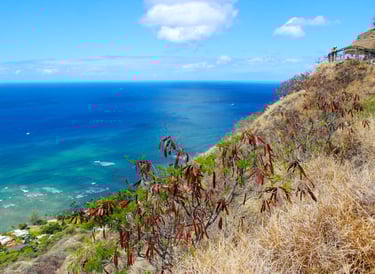 Diamond Head Crater, Honolulu