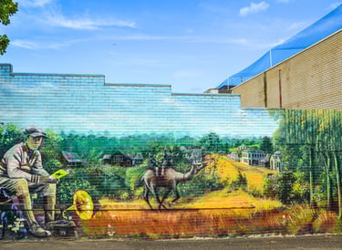 Street art by Melbourne's Murals in Frankston