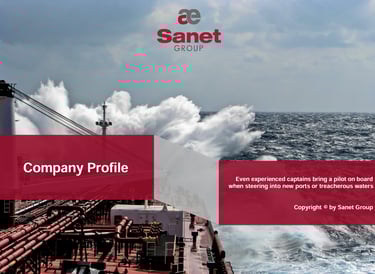 Sanet Company Profile 2024