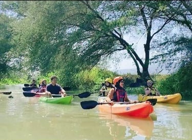 Paket Kano Maritim Mangrove