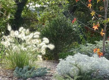 jardin paysagé penisetum viravira meublé de tourisme confort et lumière