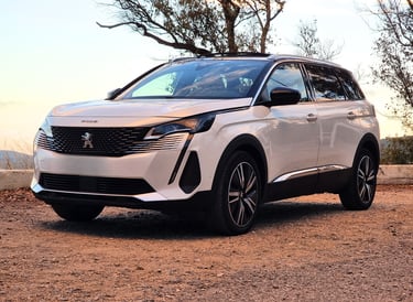 Book a driver french riviera