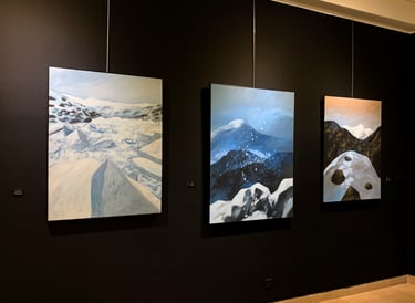 exposition vincent ganaye au GAV 2024