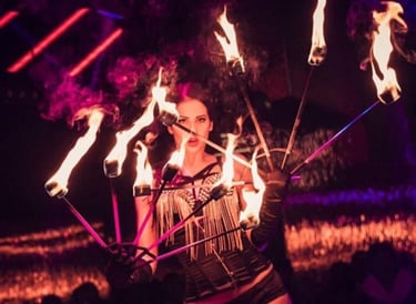 organisateur de soirée montpellier