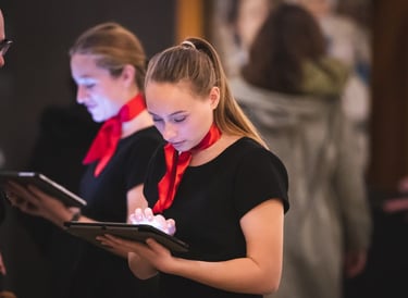 hôtesse d'accueil montpellier