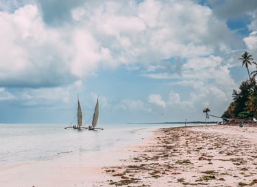 a sailboat is sailing on the beach of Zanzibar