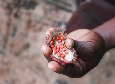 a person holding a small plant with a flower