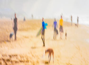 Ocean Beach . San Francisco
