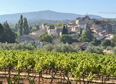 Un village en Provence au milieu des vignes